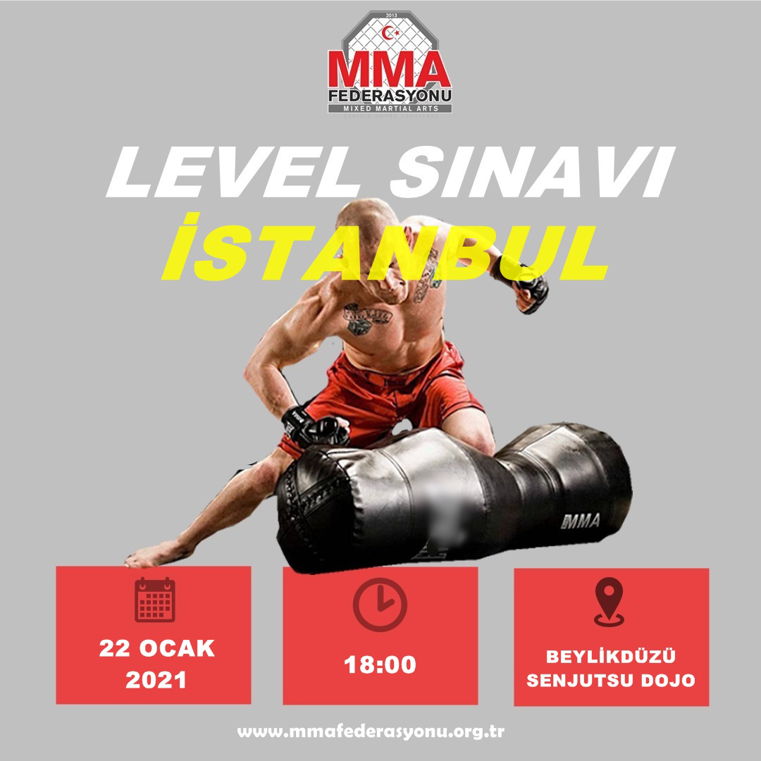 MMA LEVEL SINAVI İSTANBUL